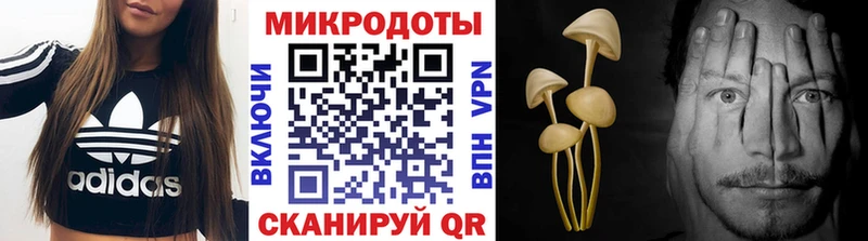 мега зеркало  цена наркотик  Солигалич  Псилоцибиновые грибы Magic Shrooms 